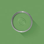 Farrow & Ball Paint - Raw Tomatillo No. CB6