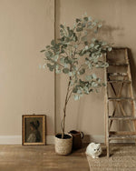 Farrow & Ball Paint - Stirabout No. 300