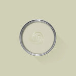 Farrow & Ball Paint - Vichyssoise No. 9909 - ARCHIVED