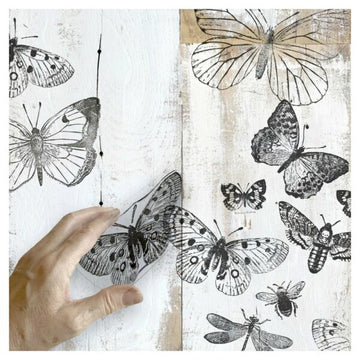 IOD Clear Stamps - Butterflies
