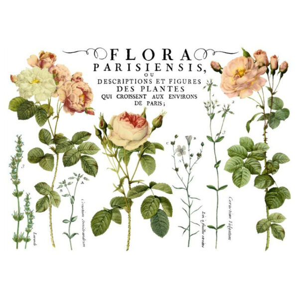 IOD Full Colour Transfer - Flora Parisiensis