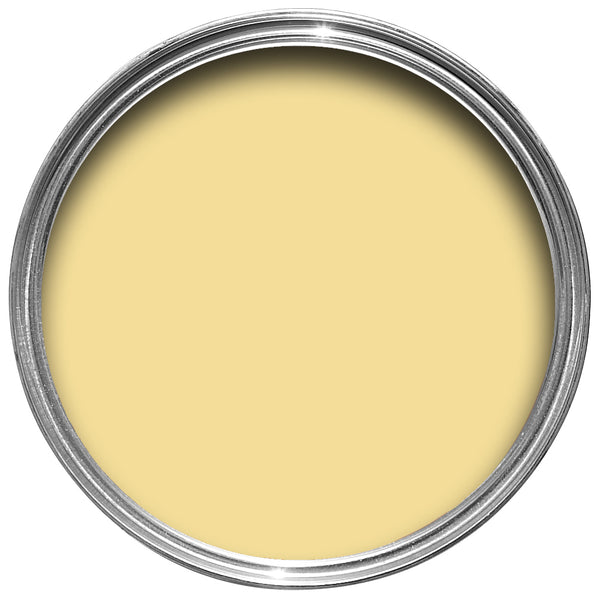 Farrow & Ball Paint - Dayroom Yellow No. 233