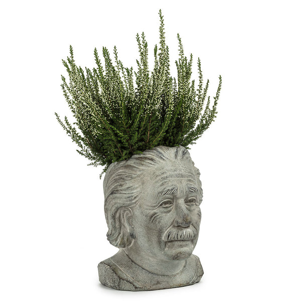 Einstein Head Planter - Small