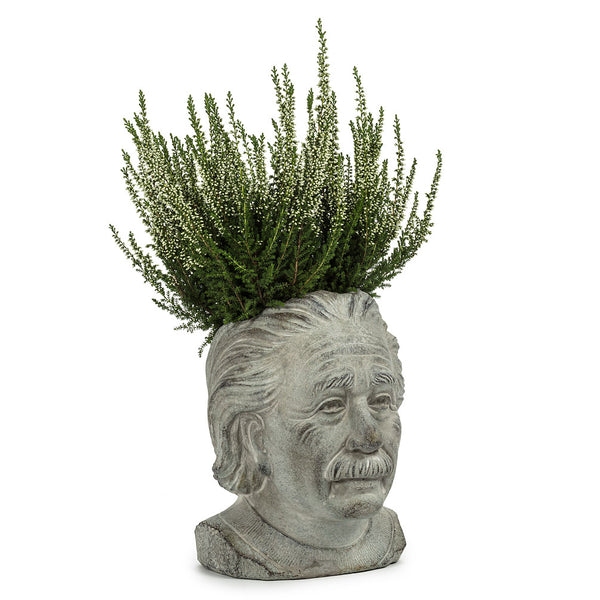 plant head pots Einstein Head Planter - Small