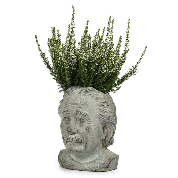 Einstein Head Planter - Small