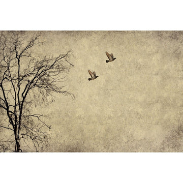 Decoupage Paper - Flying Birds