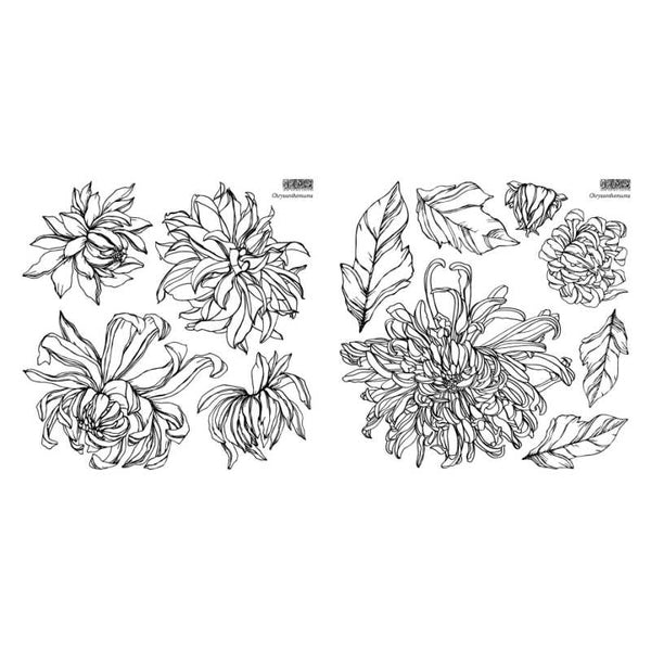 IOD Clear Stamps - Chrysanthemums 2 Sheets with Masks