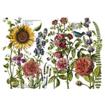 IOD Full Colour Transfer - Botanist's Journal