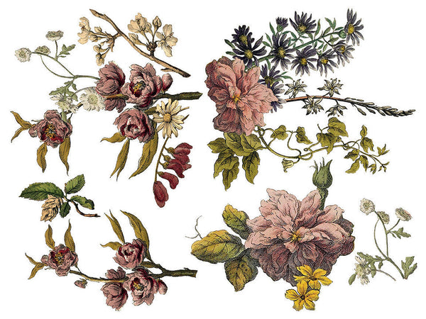 IOD Full Colour Transfer - Floral Anthology