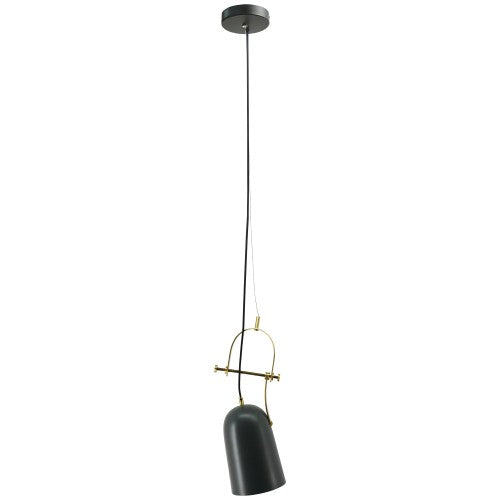 Kenley Matte Black and Brass Pendant Ceiling Light