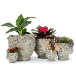 Kissing Face (Only) Planter - Mini