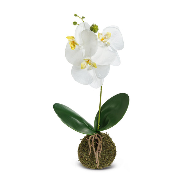 Large Orchid with Grass Ball