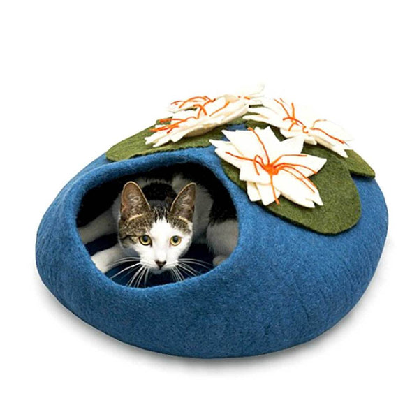 Lilly Pond Catcave