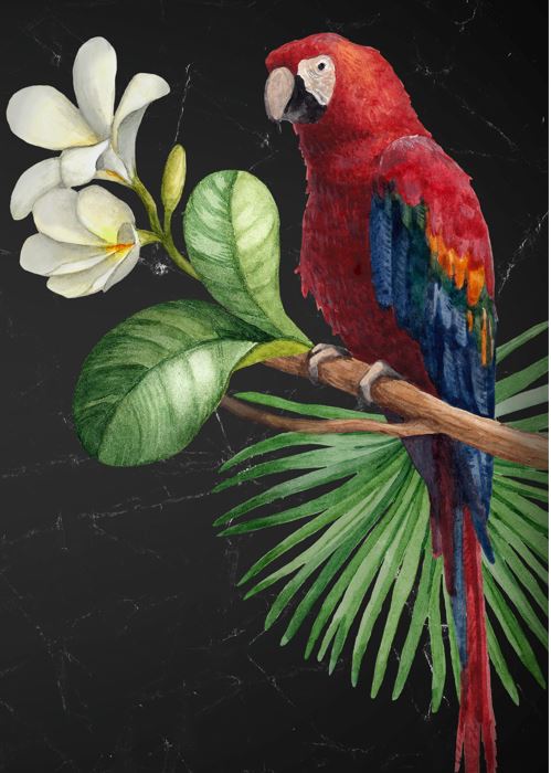 Decoupage Paper - Parrot
