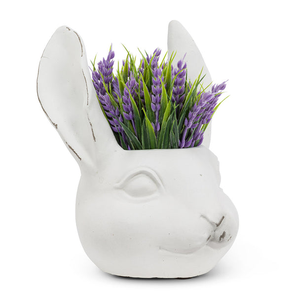 Rabbit Head Planter with Ears
