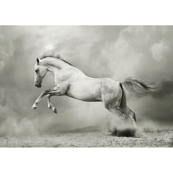 Decoupage Paper - White Horse