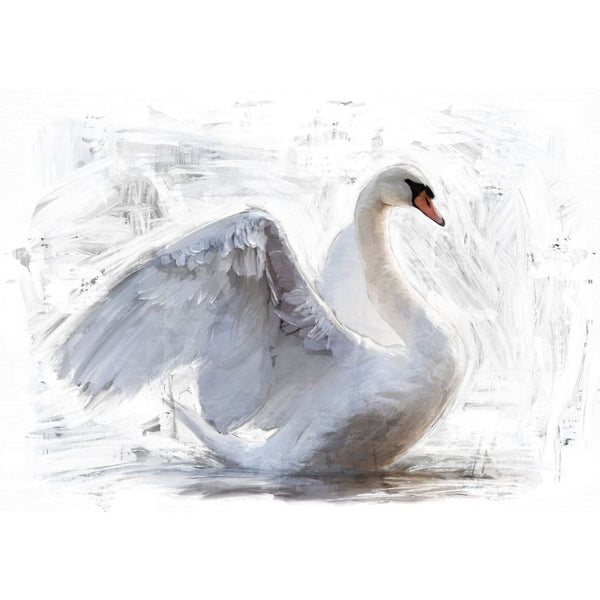 Decoupage Paper - White Swan Reverse