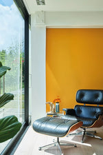 Farrow & Ball Paint - Dutch Orange No. W76 - ARCHIVED