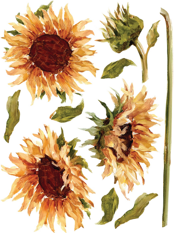 IOD Full Colour Transfer - Painterly Florals